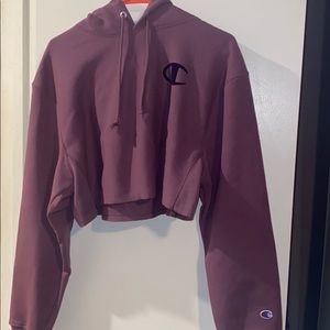 Champion cropped hoodie